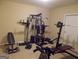Finished basement home gym with weight machines and equipment for fitness enthusiasts at 216 Lake Tanisha Dr, Dallas, GA 30157