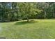 The expansive backyard features a mature tree and lush green grass at 147 Pine St, Covington, GA 30014