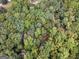 Aerial view of a densely wooded area, showcasing a winding stream through the heart of the forest at 95 Fern Ct, Stockbridge, GA 30281