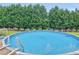 Relax in the backyard, complete with an above-ground pool and a well-maintained lawn area, offering privacy at 2110 Mcgarity Rd, Mcdonough, GA 30252