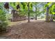 Expansive backyard with mature trees, perfect for outdoor activities and relaxation at 954 Camp Creek Sw Dr, Lilburn, GA 30047