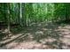 Lush wooded backyard, providing a serene and private outdoor space to enjoy nature at 360 Darren Dr, Fayetteville, GA 30215