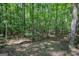 Picturesque view of a densely wooded area, showcasing the natural beauty and tranquility of the property at 360 Darren Dr, Fayetteville, GA 30215