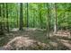 Wooded lot with mature trees and lush, leafy undergrowth, perfect for nature enthusiasts and privacy at 360 Darren Dr, Fayetteville, GA 30215