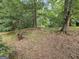 View of backyard featuring mature trees and foliage at 125 Rosenwald Cir, Stockbridge, GA 30281