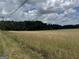 Large grassy field ready for building or recreation at 180 Cooper Rd, Social Circle, GA 30025