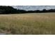 Beautiful land perfect for building your dream home at 180 Cooper Rd, Social Circle, GA 30025