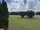 Expansive front yard with manicured lawn, decorative trees and a view of the street at 180 Cooper Rd, Social Circle, GA 30025