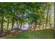 View of backyard wooded area and lake with lush greenery and mature trees at 301 Retreat Way, Carrollton, GA 30116