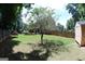 Expansive backyard with a tree and shed, offering ample outdoor space and privacy at 305 Matthew Cir, Stockbridge, GA 30252