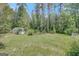 Spacious backyard with a storage shed, mature trees, and plenty of room to roam at 871 Clearwater Rd, Sharpsburg, GA 30277