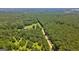 A captivating aerial view showing house with expansive tree coverage surrounding it at 1828 Pitts Chapel Rd, Newborn, GA 30056