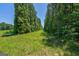 Grassy backyard with privacy trees, creating a peaceful outdoor space at 1828 Pitts Chapel Rd, Newborn, GA 30056
