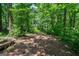 Wooded area of the backyard featuring mature trees, a small outdoor shelter, and a peaceful environment at 1828 Pitts Chapel Rd, Newborn, GA 30056