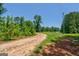A winding driveway leads to a secluded property surrounded by lush greenery at 1828 Pitts Chapel Rd, Newborn, GA 30056