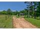 Scenic driveway leading to a cozy home surrounded by lush greenery and mature trees, offering a private retreat at 1828 Pitts Chapel Rd, Newborn, GA 30056