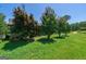 Quaint home surrounded by lush landscaping, featuring flowering trees and a well-maintained lawn creating a charming, private oasis at 1828 Pitts Chapel Rd, Newborn, GA 30056