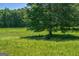 Picturesque grassy land with a large tree, offering a peaceful spot to relax and enjoy nature at 1828 Pitts Chapel Rd, Newborn, GA 30056