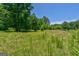Lush grassy land with scattered trees, creating a peaceful and inviting natural space at 1828 Pitts Chapel Rd, Newborn, GA 30056