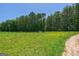 Wide grassy land with surrounding trees, perfect for recreational use and enjoying the natural landscape at 1828 Pitts Chapel Rd, Newborn, GA 30056