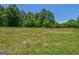 Large, grassy land area with scattered trees, ideal for various outdoor uses and activities at 1828 Pitts Chapel Rd, Newborn, GA 30056