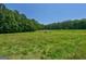 Spacious grassy fields with trees, offering a serene and private setting at 1828 Pitts Chapel Rd, Newborn, GA 30056