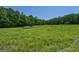 Expansive grassy field with mature trees, creating a serene and private environment at 1828 Pitts Chapel Rd, Newborn, GA 30056