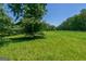Expansive grassy land with trees, offering a serene and scenic environment for outdoor enjoyment at 1828 Pitts Chapel Rd, Newborn, GA 30056