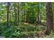 Image of the densely wooded area on this property, offering seclusion and privacy at 1828 Pitts Chapel Rd, Newborn, GA 30056