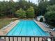 An in-ground community pool surrounded by lounge chairs and trees at 9108 Alden Dr, Locust Grove, GA 30248