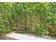Backyard patio with a wooded view at 204 Eleanor Court, Stockbridge, GA 30281