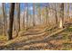 Sunny wooded area with a gentle slope and leaf-covered ground at 450 Pat Rich Dr, Canton, GA 30115