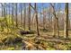 Serene wooded area with a creek running through it at 450 Pat Rich Dr, Canton, GA 30115