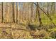 Small creek meandering through a wooded area at 450 Pat Rich Dr, Canton, GA 30115