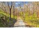 Gravel driveway leading through a lush, wooded area at 450 Pat Rich Dr, Canton, GA 30115