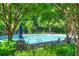 Serene community pool with trees, lounge chairs, and umbrellas, creating a perfect spot for relaxation at 3025 Sunset Pass, Canton, GA 30114