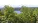 Beautiful lake view framed by lush green foliage, creating a serene and picturesque setting at 3025 Sunset Pass, Canton, GA 30114