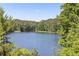 Scenic lake view framed by lush trees and greenery, offering a tranquil retreat at 3025 Sunset Pass, Canton, GA 30114