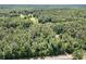 Drone image showing wooded neighborhood surrounding home at 500 Cochran Rd, Covington, GA 30014