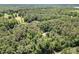 Aerial view of tree covered neighborhood with houses visible, shot from above at 500 Cochran Rd, Covington, GA 30014