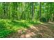 Photo of the forest on the property. Lush, green forest and forest floor with a walking path at 500 Cochran Rd, Covington, GA 30014