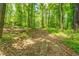 A dirt walking path through a lovely, green wooded area with plenty of natural light and scenery at 500 Cochran Rd, Covington, GA 30014