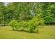 Picture of green trees on lush green grass, with plenty of room for outdoor activities and relaxation at 500 Cochran Rd, Covington, GA 30014