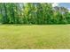 Large sprawling and well-maintained front yard on a sprawling green lot filled with tress at 500 Cochran Rd, Covington, GA 30014