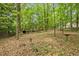 Expansive backyard surrounded by mature trees, offering a private and natural setting at 841 Hickory Dr, Marietta, GA 30064