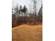 Landscaped backyard with new sod and wooded area at 3730 Reserve Overlook (Lot 8) Way, Cumming, GA 30041