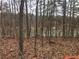 Wooded lot with a view of a calm lake at 3730 Reserve Overlook (Lot 8) Way, Cumming, GA 30041