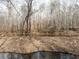 Serene view of a creek winding through a leaf-covered forest at 939 Jean Ct, Covington, GA 30014