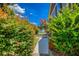 Pathway to a house with beautiful shrubbery and trees under a bright blue sky at 3700 Tom Brewer Rd, Loganville, GA 30052