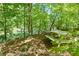 Relaxing picnic table area overlooking a serene river at 3125 Lakeside Dr, Cumming, GA 30041